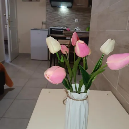 Apartment Chris - Corfu Alepou